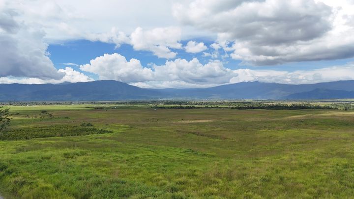 Green, wide landscape with white clouds in the sky in Lore Lindu Bosphere, Sulawesi, Indonesia.