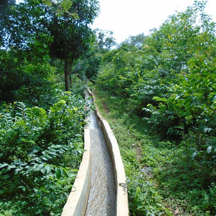 Irrigation canal in the greenery.